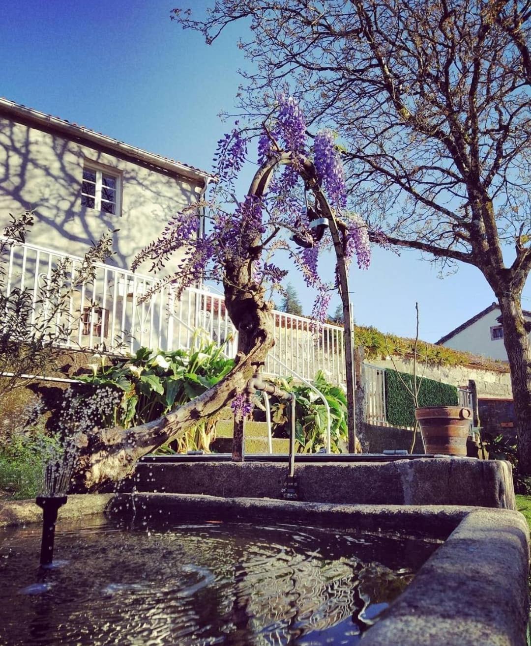 A Casa Da Parrula Lejlighed Santiago de Compostela Eksteriør billede